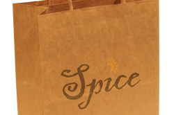 Printed Paper Bags PB550K